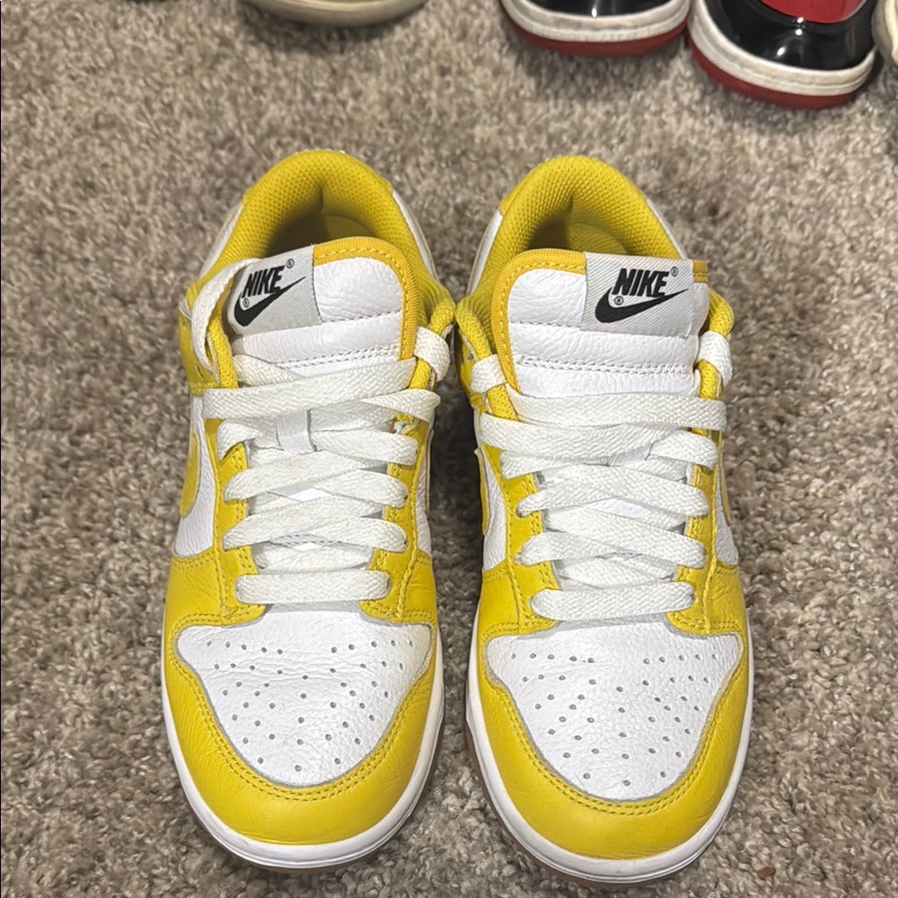 NikeID Dunk- one of a kind customized